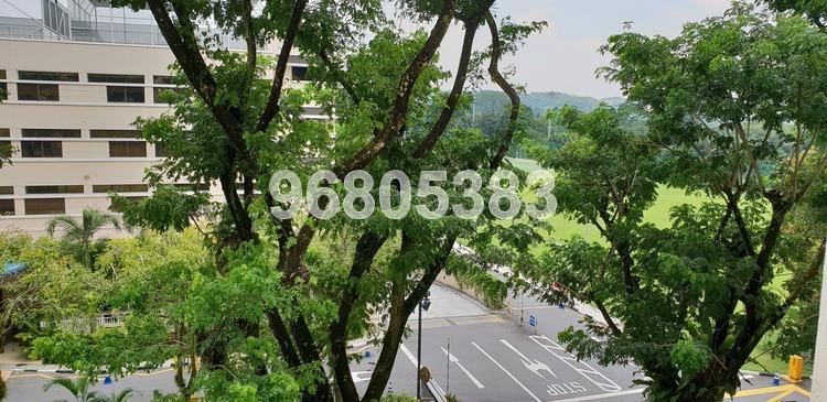 Blk 429 Woodlands Street 41 (Woodlands), HDB 4 Rooms #173789712